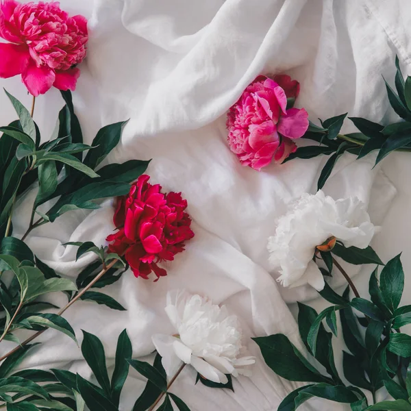 beyaz zemin üzerine pembe ve beyaz peonies