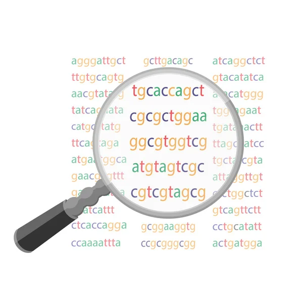 放大玻璃搜集基因组字母序列 — 图库矢量图片#