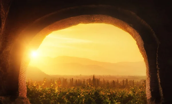古老的拱形通道 美丽的景色 Alazani 山谷的葡萄园在卡赫 格鲁吉亚 — 图库照片