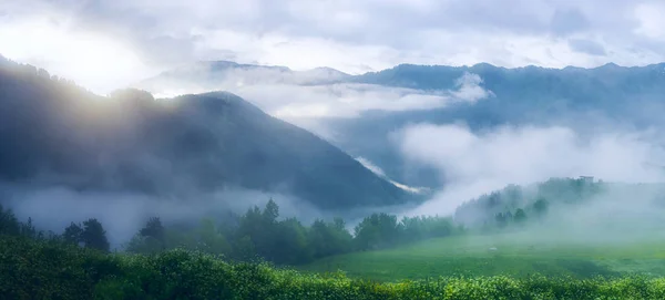 Panoramisch Uitzicht Bergketen Groene Veld Met Twee Paarden Grazen Mist — Stockfoto