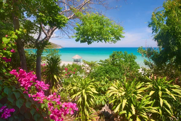 Pemandangan laut pirus melalui cabang-cabang pohon tropis dan bunga-bunga. Vietnam — Stok Foto