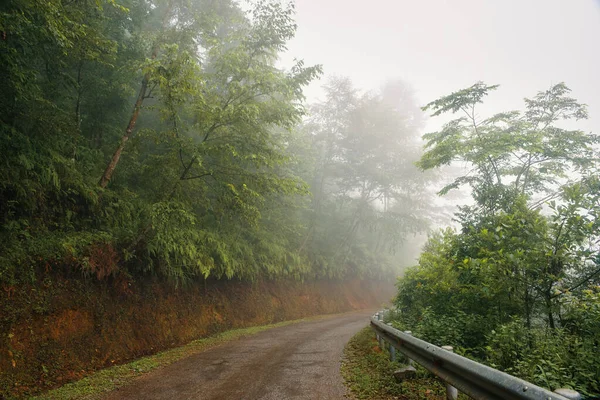 Scenic Curve Weg Ochtend Mist Hoog Bergen Van Noord Vietnam — Stockfoto