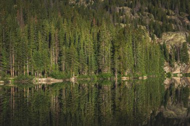 Ayı göl kenarında mükemmel sakin su dağ ve ağaçlar, Rocky Dağı Milli Parkı, Colorado yansımaları ile