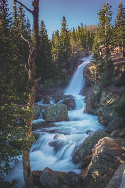Longa Exposição Tiro Água Suave Sedosa Alberta Falls Cascata Descendo — Fotografia de Stock