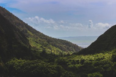 Mesafe, IAO Valley State Park, Wailuku, Maui, Hawaii deniz manzarası ile gür yeşil IAO Vadisi'nin güzel yükseltilmiş görünümü