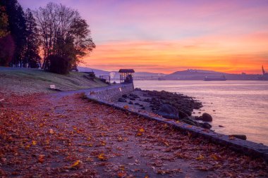 Canlı sonbahar yaprakları ve güneş doğarken, Vancouver, British Columbia Stanley Park deniz kenarındaki sete yol boyunca görülen su sakin