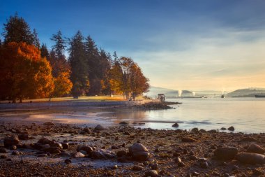 Canlı sonbahar yaprakları ve güneş doğarken, Vancouver, British Columbia Stanley Park deniz kenarındaki sete yol boyunca görülen su sakin