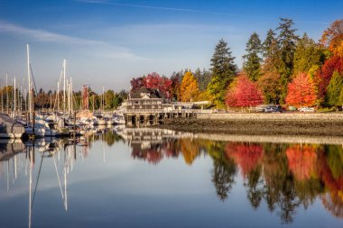 Canlı sonbahar yaprakları ve güneş doğarken, Vancouver, British Columbia Stanley Park deniz kenarındaki sete yol boyunca görülen su sakin