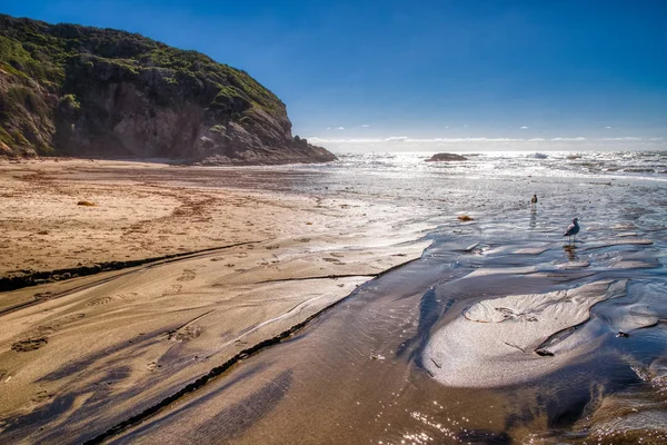 Dana Point iplikçikleri Beach — Stok fotoğraf