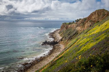 Süper Bloom Pelikan koyu