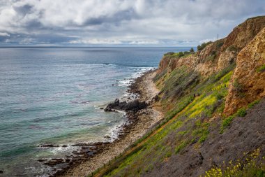 Süper Bloom Pelikan koyu