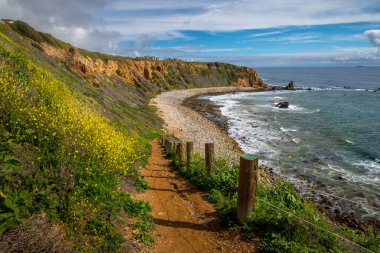 Süper Bloom Pelikan koyu