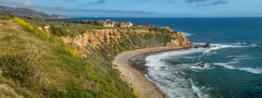 Süper Bloom Panorama Pelikan koyu