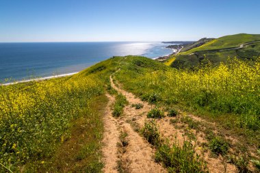 Corral Kanyon süper Bloom