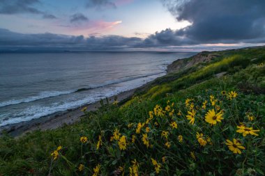 Ocean Trails Reserve 'de mavi saat