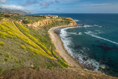 Süper Bloom Pelikan koyu