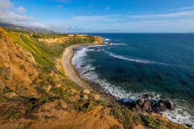 Süper Bloom Pelikan koyu