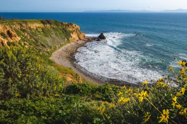 Süper Bloom Pelikan koyu