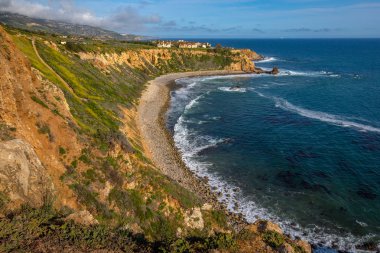 Süper Bloom Pelikan koyu