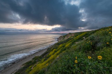 Okyanus parkurları rezervi 'nde dramatik günbatımı