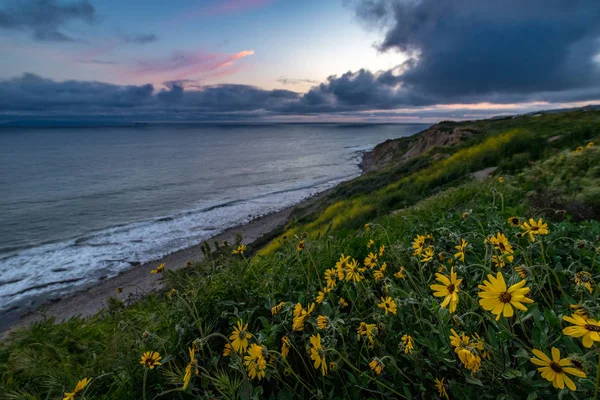 Blue Hour en Ocean Trails Reserve — Foto de Stock