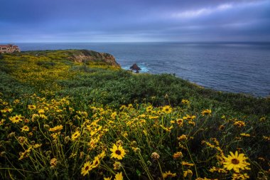 2017, Rancho Palos Verdes, California süper Bloom