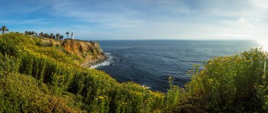 Point Vicente Super Bloom Panorama