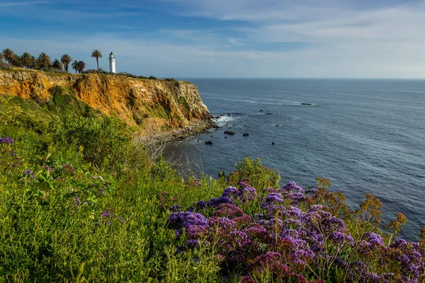 Punto Vicente Super Bloom —  Fotos de Stock