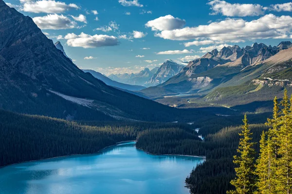 Nádherné jezero Peyto — Stock fotografie