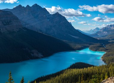 Güneşli bir öğleden sonra yüksek dağlarla çevrili parlak mavi Peyto Gölü manzaralı Banff Ulusal Parkı, Alberta, Kanada