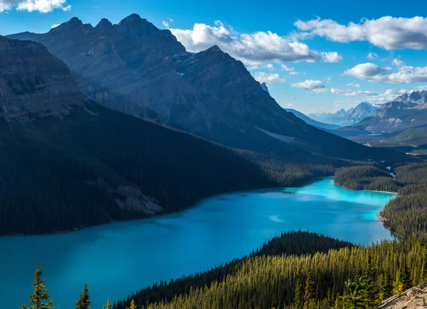 Güneşli bir öğleden sonra yüksek dağlarla çevrili parlak mavi Peyto Gölü manzaralı Banff Ulusal Parkı, Alberta, Kanada