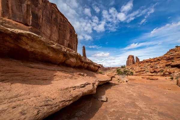 Stunning View Organ Sandstone Structure Distance Seen Park Avenue Trail — Stock Photo, Image