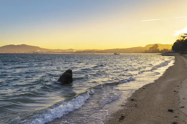 Rock Vlny Pláži Sinas Vilanova Arousa Zlaté Svítání — Stock fotografie