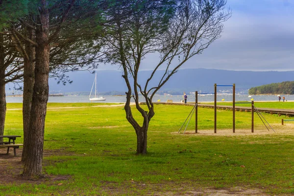 Çam Ağaçları Vilagarcia Arousa Compostela Plajda Yeşil Çimen — Stok fotoğraf