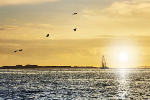 Veleiro Que Navega Baía Arousa Pôr Sol Dourado — Fotografia de Stock