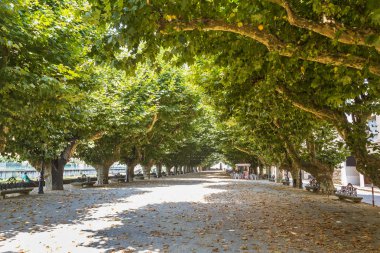 Espolon park ağaçta satırlarının Padron şehirde gezi