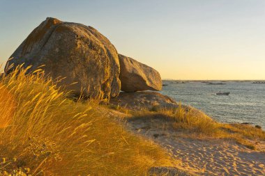 Rock ve çim kostal kumul üzerinde
