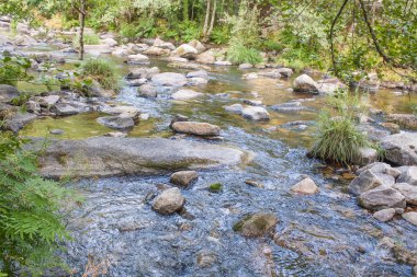 Caldas de Reis içinde kayalar arasında akan Umia Nehri