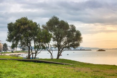 Zeytin ağaçları üzerinde sahil, Vilanova de Arousa gün batımında