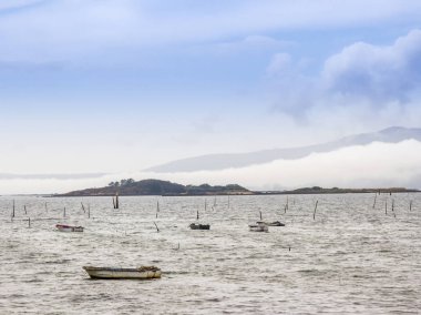 Malveiras Adaları ve arka planda Ulla reiver ağız bankada sis ile midye su ürünleri park direkleri