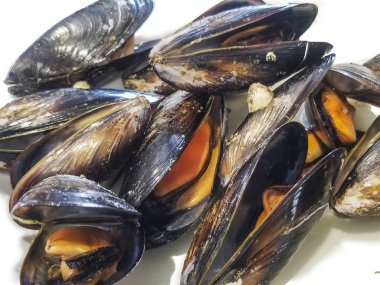 Onların kabuk pişmiş midye