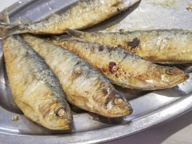 Kızarmış sardalya