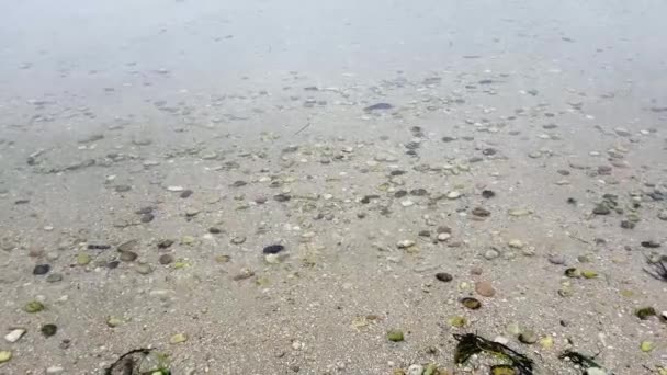 Zachte Zee Golven Slaan Tegen Het Strand — Stockvideo