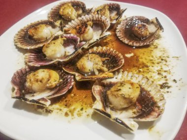 Izgara kraliçe deniz tarağı, porselen tabakta servis edilen soslu Aequipecten opercularis.