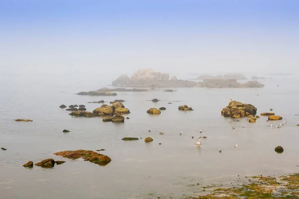 Rochas Costeiras Granito Nevoeiro Mar Vilanova Arousa Galiza Espanha — Fotografia de Stock