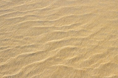 Kumlu zeminde dalgalanma izleri var.