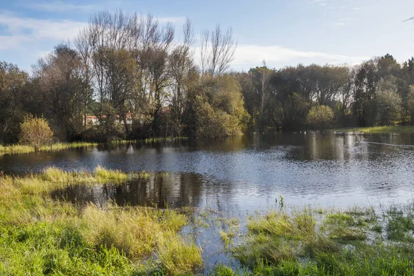 Zimowa Laguna Otoczona Drzewami Trawą Wyspie Arousa Galicja Hiszpania — Zdjęcie stockowe