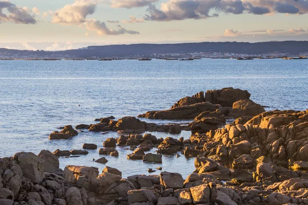 Arousa Adası 'ndan Arousa haliçlerindeki sahil kayaları ve midye suyu salları.