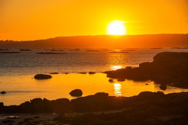 Altın gün batımında Arousa körfezinde midye sulu salları