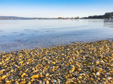 İspanya, Galiçya 'daki Arousa adasındaki Riason plajında Roundez çakıl taşları.